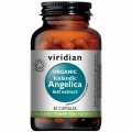 Organic Angelica Extract